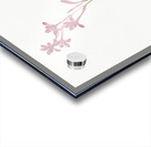 False helleborine illustration  Acrylic print