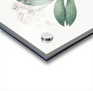 Pygmy hyacinth illustration  Acrylic print