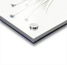 Ornamental onion illustration  Acrylic print