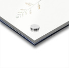 New Zealand flax illustration  Acrylic print