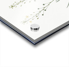 Ornamental onion illustration  Acrylic print