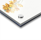 Sun star illustration  Impression Acrylique