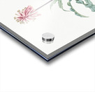 Sand lily illustration  Acrylic print