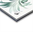 Broadleaf wild leek illustration  Acrylic print