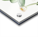 African flag illustration  Acrylic print