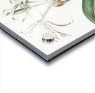 African flag illustration  Acrylic print