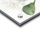 African flag illustration  Acrylic print