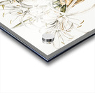 Green-tinge spiderlily illustration  Acrylic print