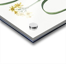 Cowslip cupped daffodil illustration  Acrylic print