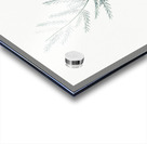 Asparagus fern illustration  Acrylic print