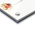 Poison bulb illustration  Acrylic print