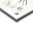 Belladonna lily illustration  Impression Acrylique