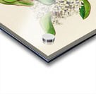 Acokanthera Spectabilis Acrylic print