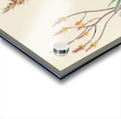 Aloe Pienaarii Acrylic print