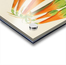 Cyrtanthus Obliquus Impression Acrylique