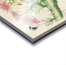 Sarcocaulon Rigidum Acrylic print