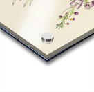 Clerodendron Triphyllum Acrylic print