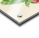 Orothamnus Zeyheri Acrylic print