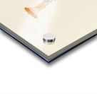 Senecio Stapeliaeformis Acrylic print