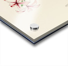 Pachypodium Succulentum Impression Acrylique