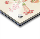 Streptocarpus Dunnii Acrylic print