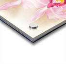 Cattleya Trianae var purpurata Acrylic print