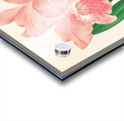 Cattleya Malouana Acrylic print