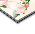 Cattleya Mendeli Acrylic print