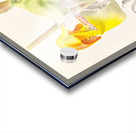 Coryanthes bungerothi  Acrylic print