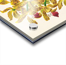 Cattleya guttata Acrylic print