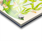 Coelogyne peltastes Acrylic print