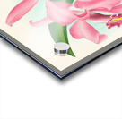 Cattleya maxima Acrylic print