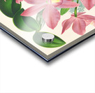 Cattleya nobilior Acrylic print