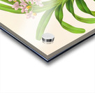 Aerides Reichenbach Acrylic print