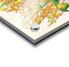 Ansellia congoensis Acrylic print