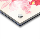 Cattleya gigas Acrylic print