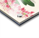 Aerides maculosum Acrylic print