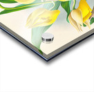 Catasetum macrocarpum Impression Acrylique