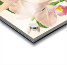 Cattleya Trianae Acrylic print