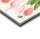 Masdevallia lindeni var grandiflora  Acrylic print