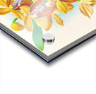 Houlletia brocklehurstiana  Acrylic print