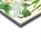 Dendrobium thyrsiflorum Acrylic print