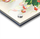 Masdevallia reichenbachiana  Acrylic print