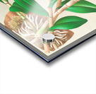 Dendrobium infundibulum Acrylic print