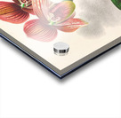 Cypripedium tessellatum Acrylic print