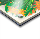 Epidendrum vitellinum Acrylic print