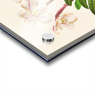 Cypripedium microchilum Acrylic print