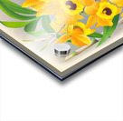 Dendrobium paxtoni Acrylic print