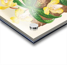 Cypripedium tonkinense Acrylic print