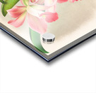 Laella elegans var houtteana Acrylic print